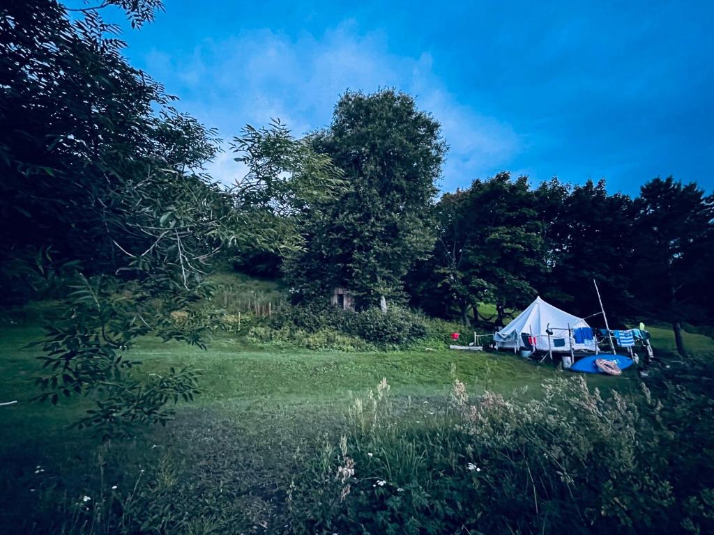 Příroda nedaleko luxury tent
