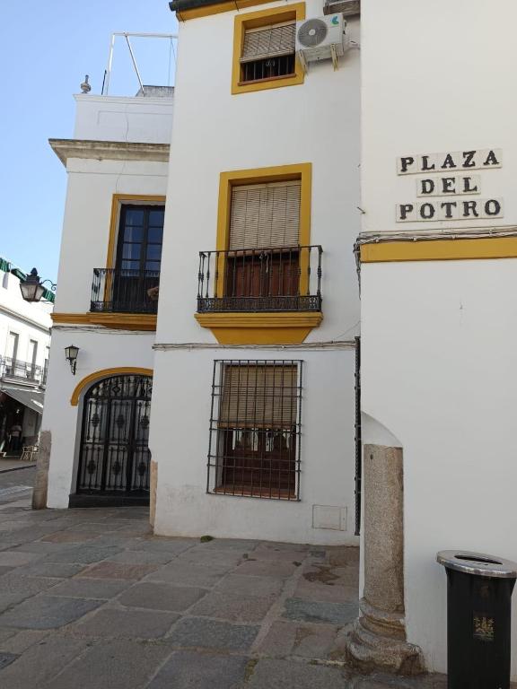 Posada del Potro Apartment