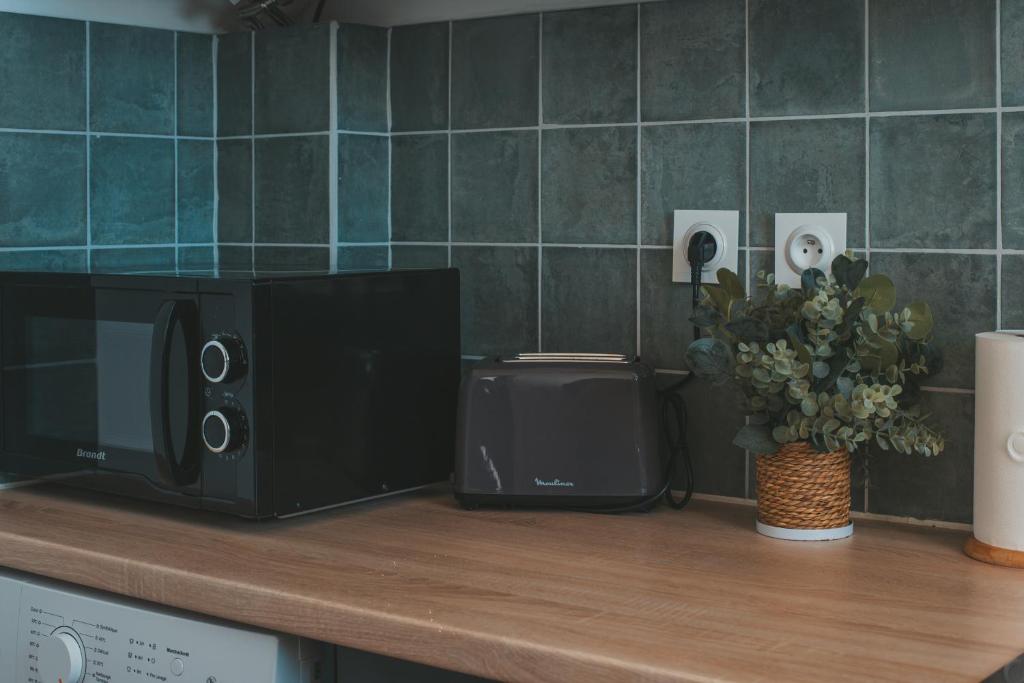 Cuisine ou kitchenette dans l'établissement Le point de vue Studio saint Denis