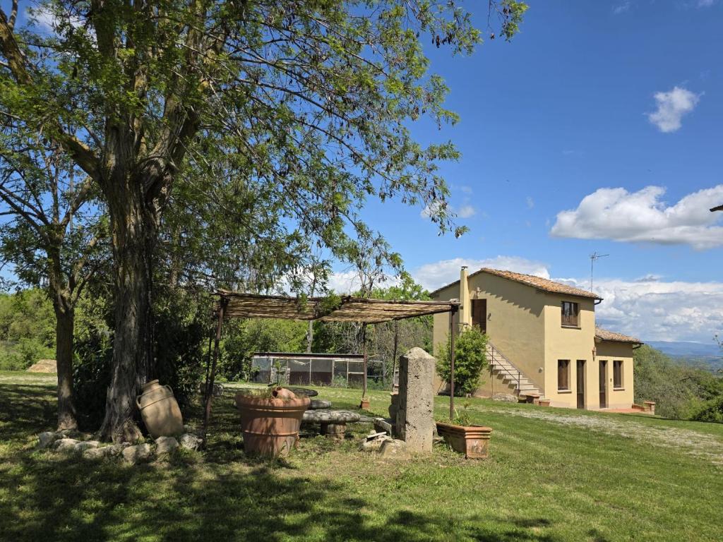 a yard with a tree and a house at Agriturismo Collina degli Ulivi in Sarteano