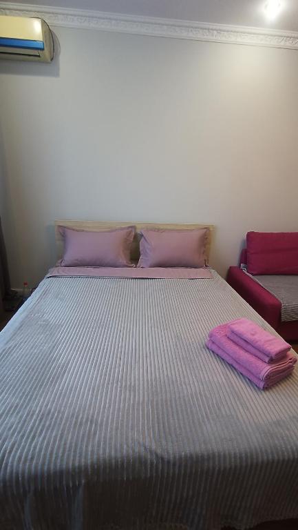 امکانات Cozy apartment near Alatau metro station - تصویر ۴