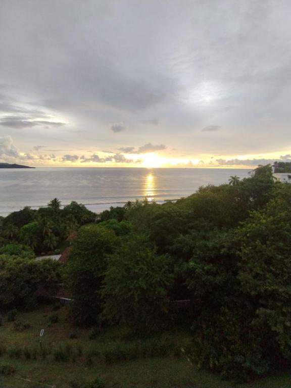 Un paisaje natural cerca del departamento