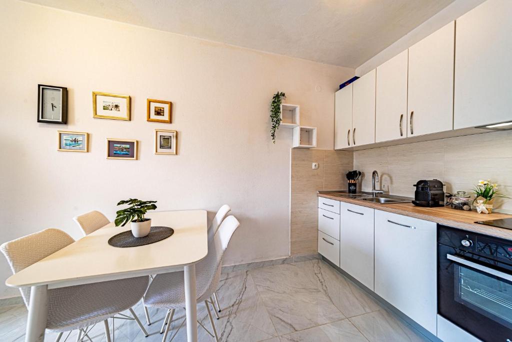 Kuchyň nebo kuchyňský kout v ubytování Vrbovica apartment