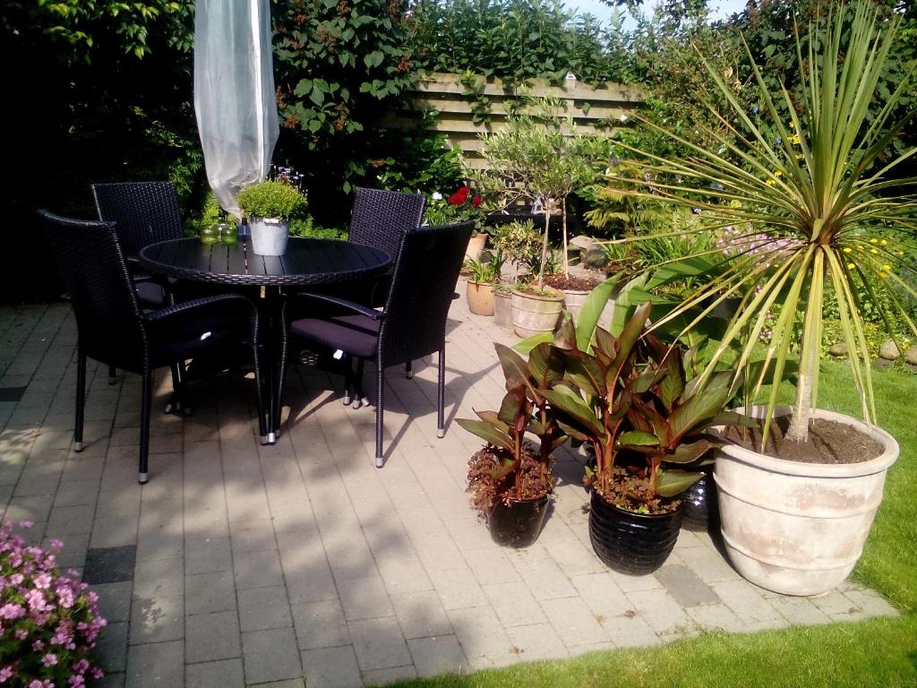 Zahrada ubytování B&B Villa Filsø