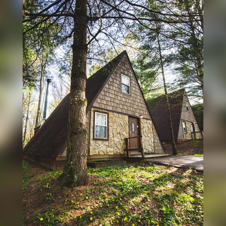 a stone house with a tree in front of it at A-Frame #14 - by The Chalets in Logan