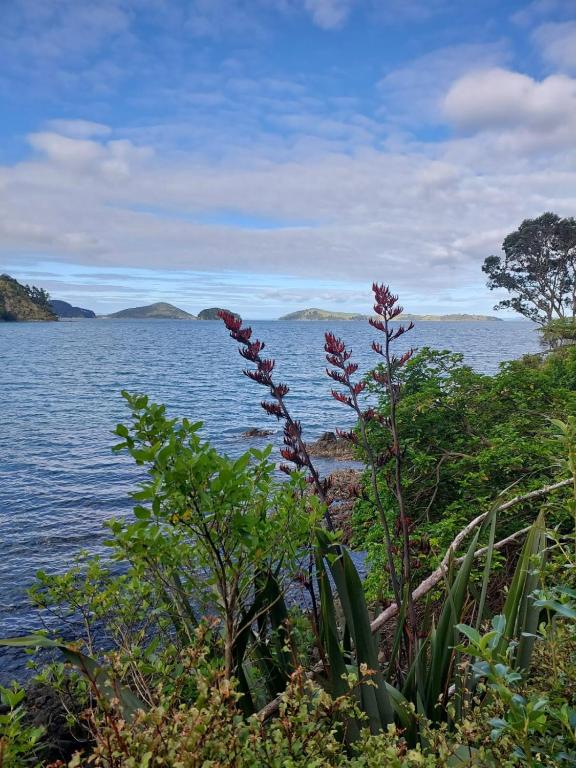 Heart of town studio - Resim 8