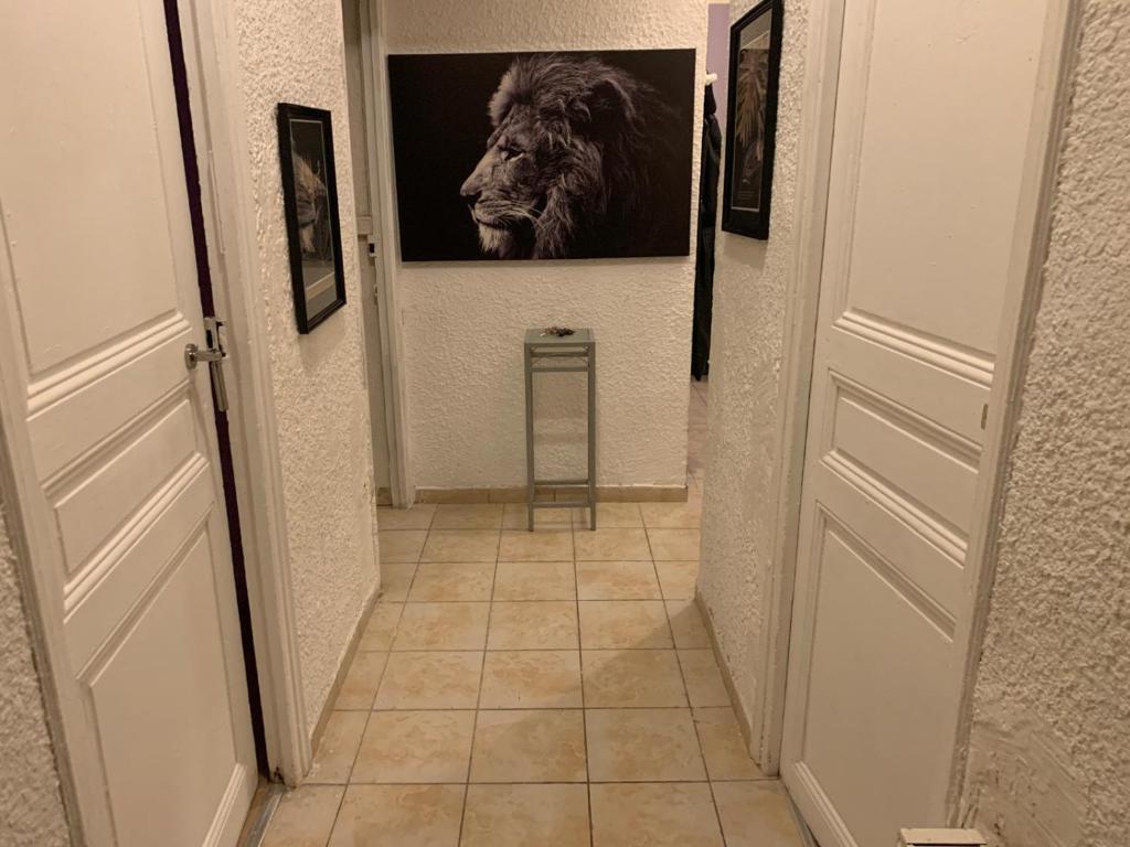un couloir avec une photo d'un lion sur le mur dans l'établissement A 6 minutes de la plage de Canet Villa Catalane avec 3 chambres et un grand salon spécial famille nombreuse, à Perpignan