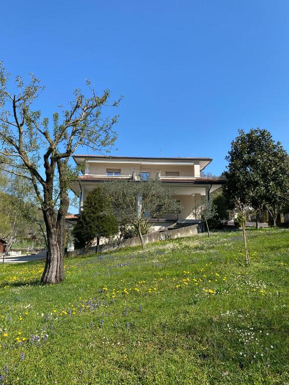 a house with a tree in a field of grass at HolidHome - Casa di Francesco in San Giovanni Ilarione
