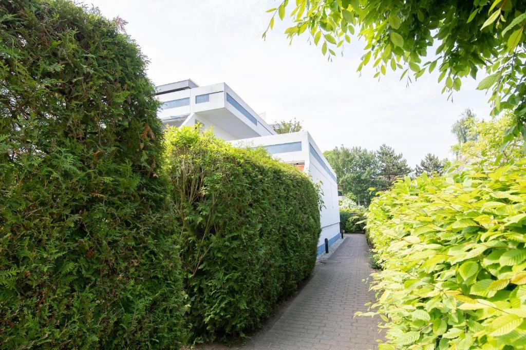 Zahrada ubytování Sea-Loft