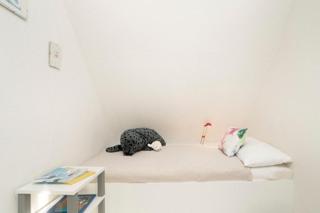 Zvířata v apartmánu nebo okolí