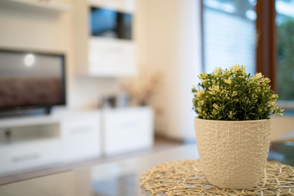 TV a/nebo společenská místnost v ubytování Haus Seebrise- Wohnung 7