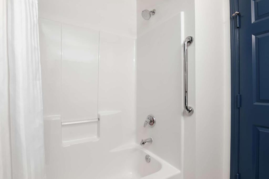 ein Bad mit einer Dusche mit einer Badewanne und einem Duschvorhang in der Unterkunft Spark by Hilton Summerville in Summerville