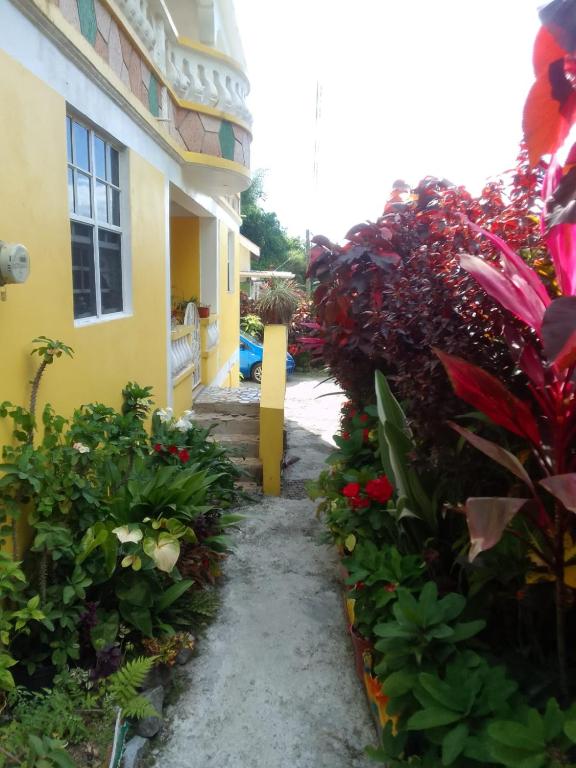 a garden path in front of a building at KG Apartments in Roseau