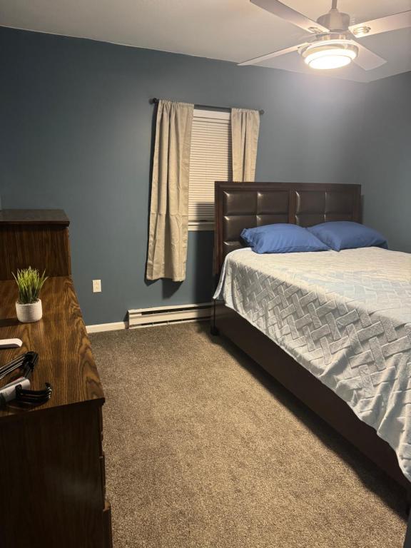 a bedroom with a bed with blue walls and a window at Countryside Comfort in Willseyville