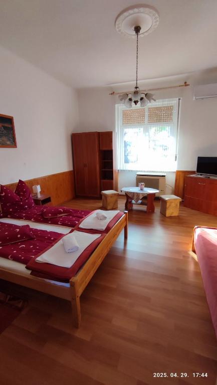 Televízia a/alebo spoločenská miestnosť v ubytovaní ENZO Apartman Gyula