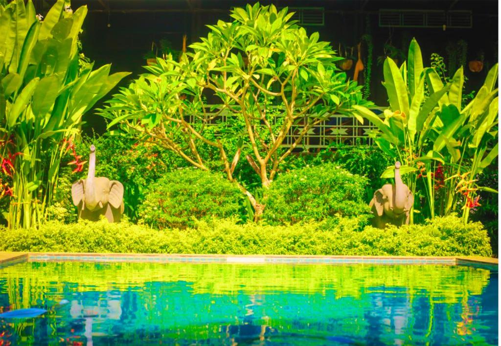 Zahrada ubytování Angkor Home 27