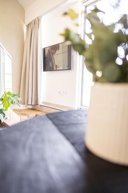 TV a/nebo společenská místnost v ubytování Pálavské Apartmány Original