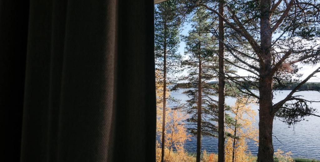 Příroda nedaleko hotelu