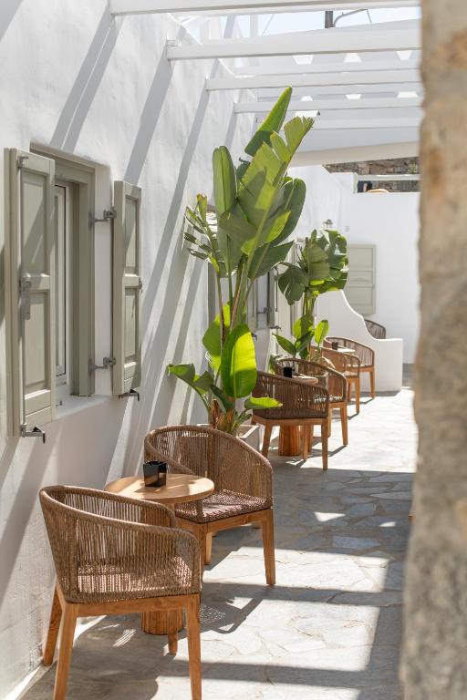 Damianos Mykonos Hotel - 16