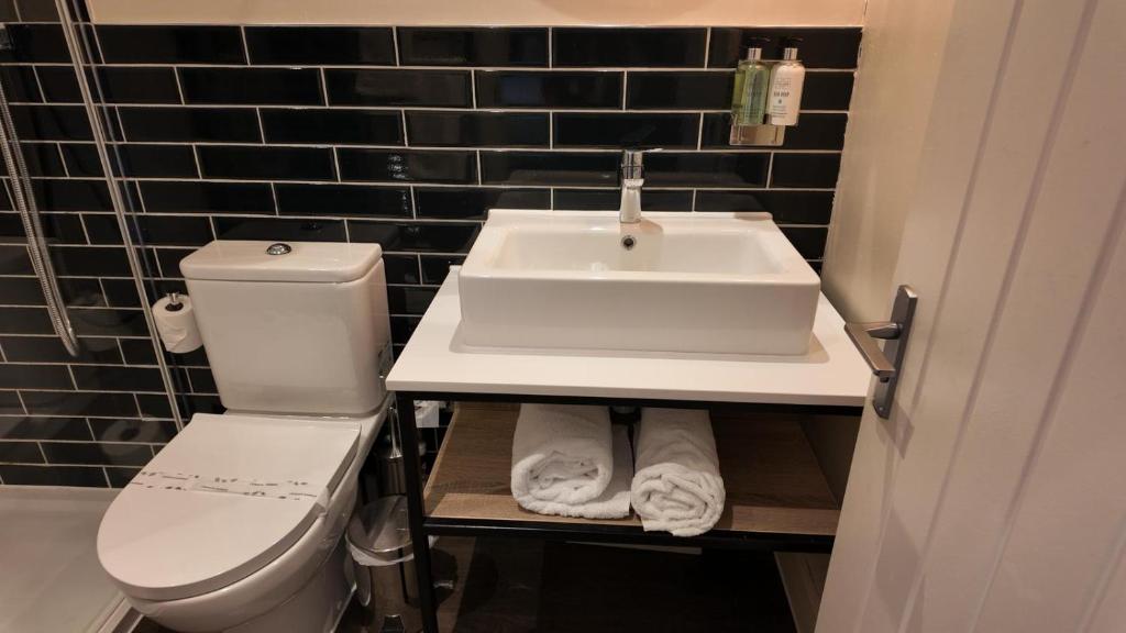 a bathroom with a sink and a toilet at Downs Hotel in Stanmer
