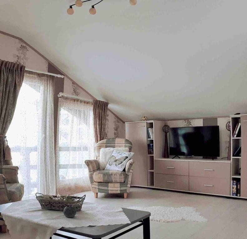 a living room with a chair and a television at Mini Vacanta La Munte in Zărneşti