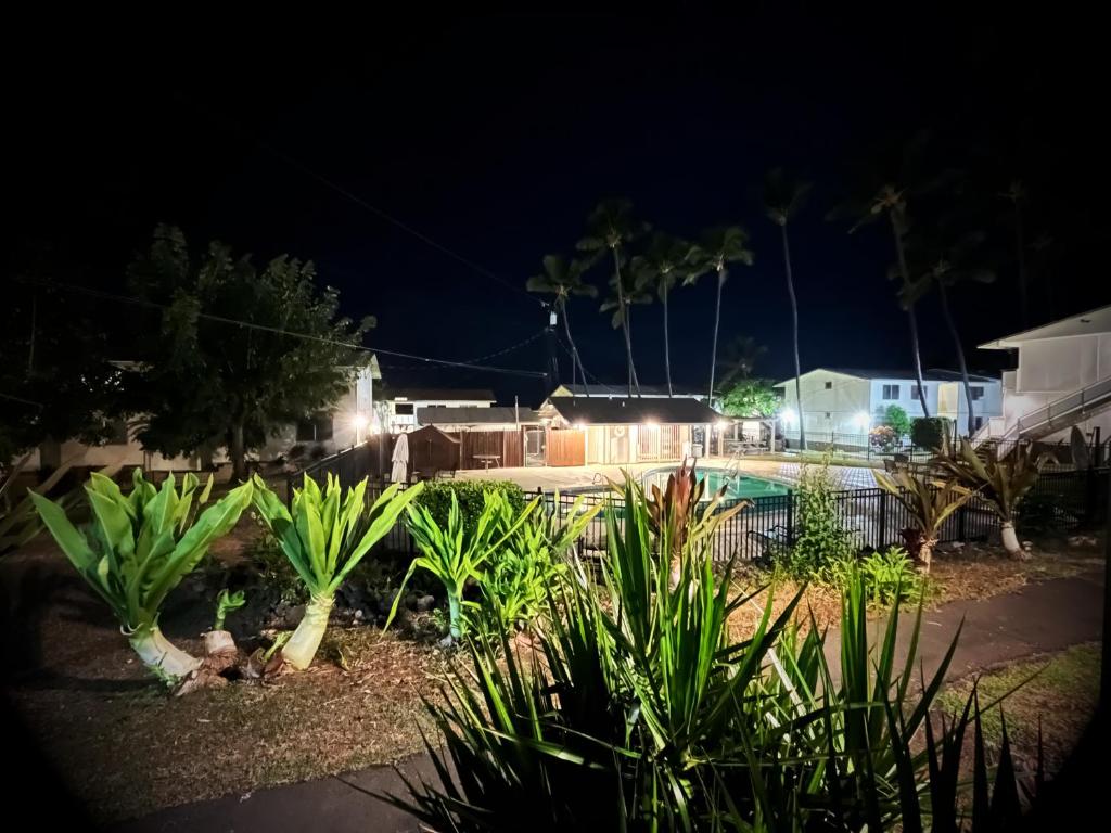 a backyard at night with a swimming pool at Your Slice of Paradise in Kona - Walk to Beach and Stores in Kailua-Kona