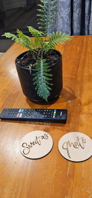 C'est La Vie - Resim 24