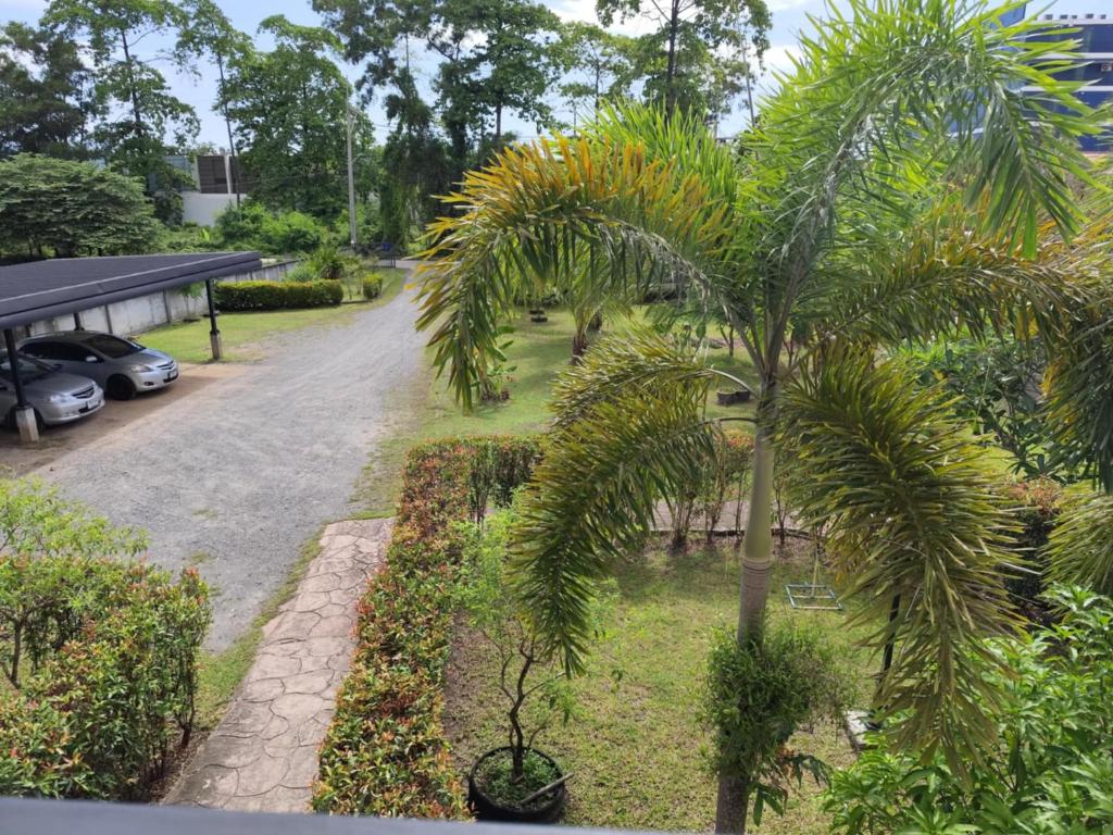 Κήπος έξω από το Bangtao Mango House