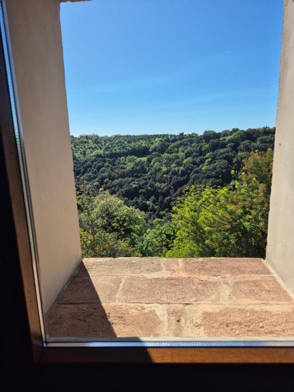 Příroda nedaleko kapslového hotelu