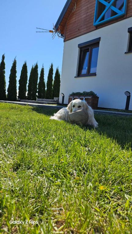 Zahrada ubytování Domki U Sieronia