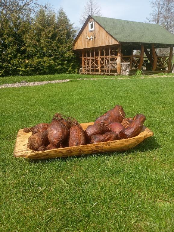 Zahrada ubytování Pokoje PRZY SZELMENCIE