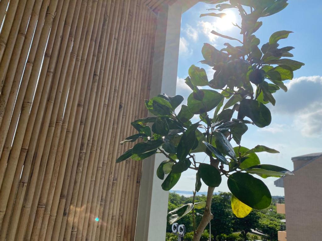 Imagen de la galería de The Deer Head Inn, en Kenting