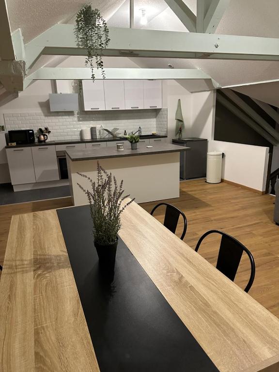 une cuisine avec une table en bois et une salle à manger dans l'établissement appartement centre mulhouse, à Mulhouse