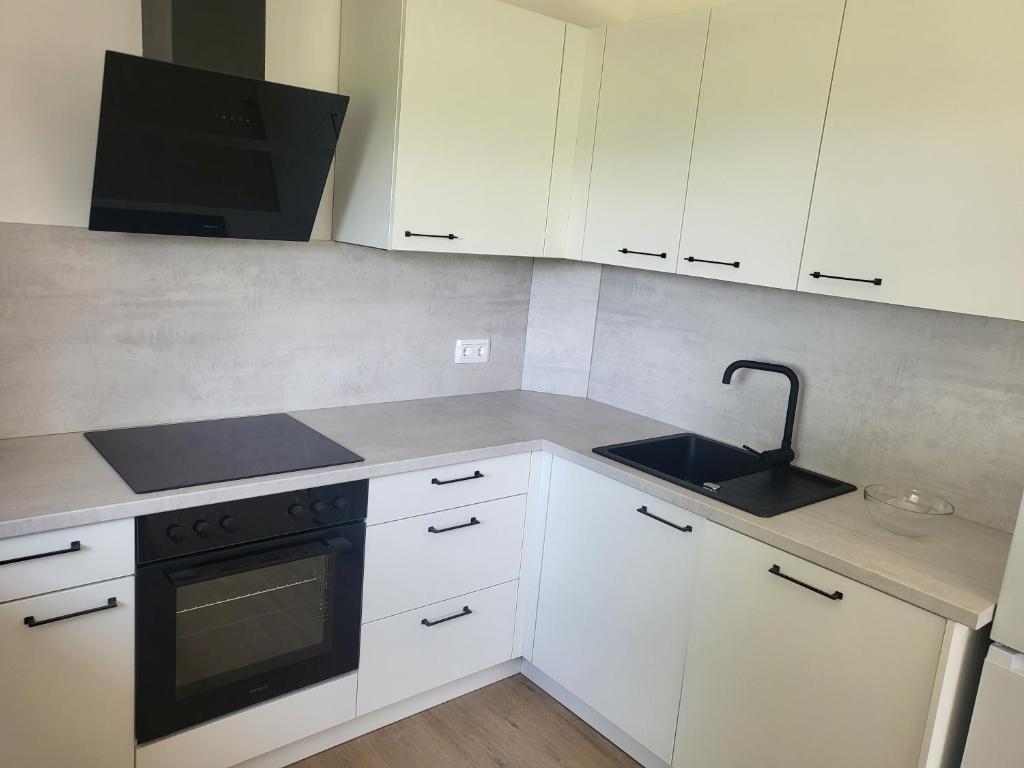 Kuchyň nebo kuchyňský kout v ubytování Appartements und Vinoteka DAVID