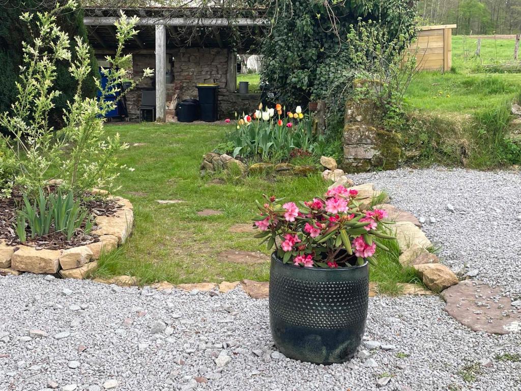 Zahrada ubytování Gîte L'instant Vosges