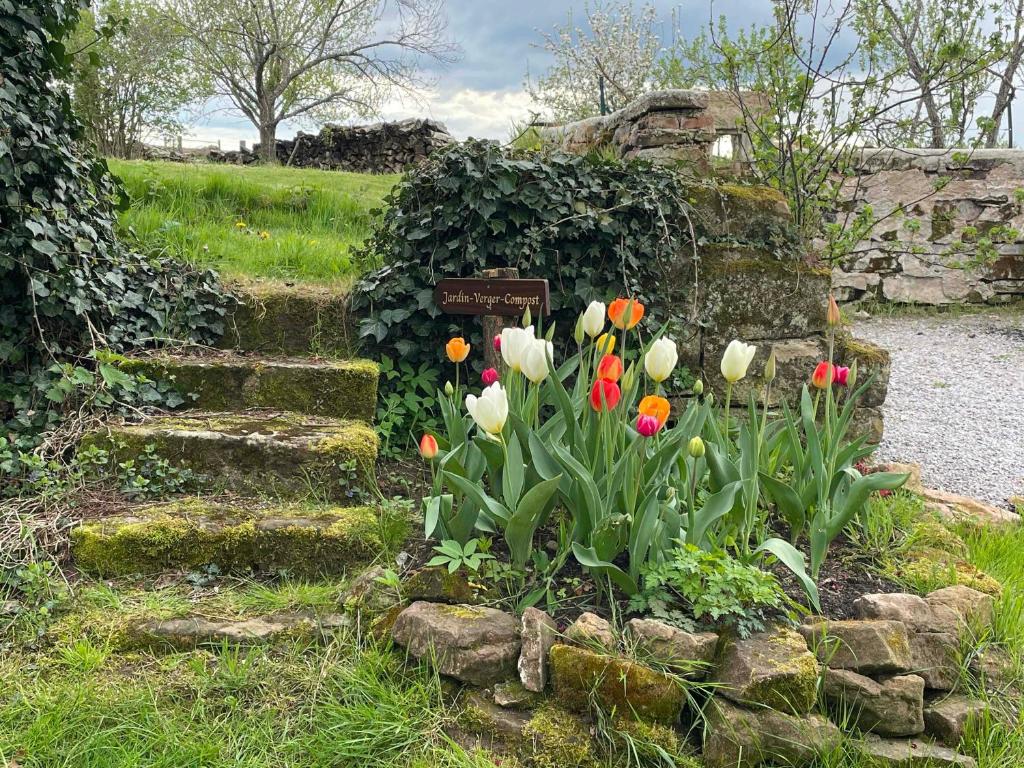 Zahrada ubytování Gîte L'instant Vosges