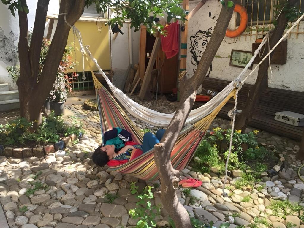 Zahrada ubytování Tirana Backpacker Hostel