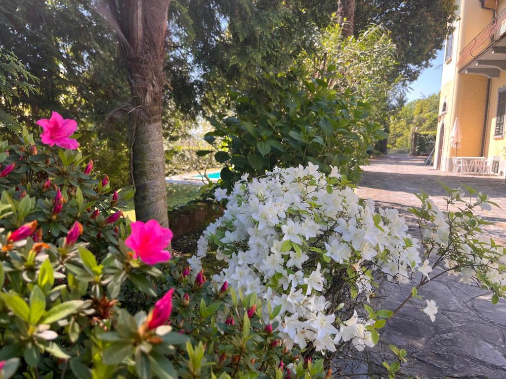 ein Garten mit rosa und weißen Blumen neben einem Gebäude in der Unterkunft VSC Apartment - Appartamento in villa storica vista lago e piscina in Lesa