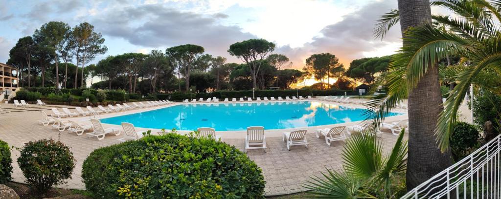 une grande piscine avec des chaises blanches et des arbres dans l'établissement Grand T3 climatisé à Saint Raphaël Valescure, à Saint-Raphaël