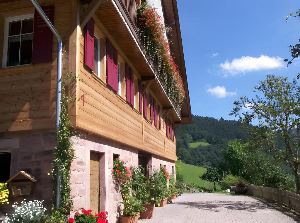 Nespecifikovaný výhled na hory nebo výhled na hory při pohledu z apartmánu