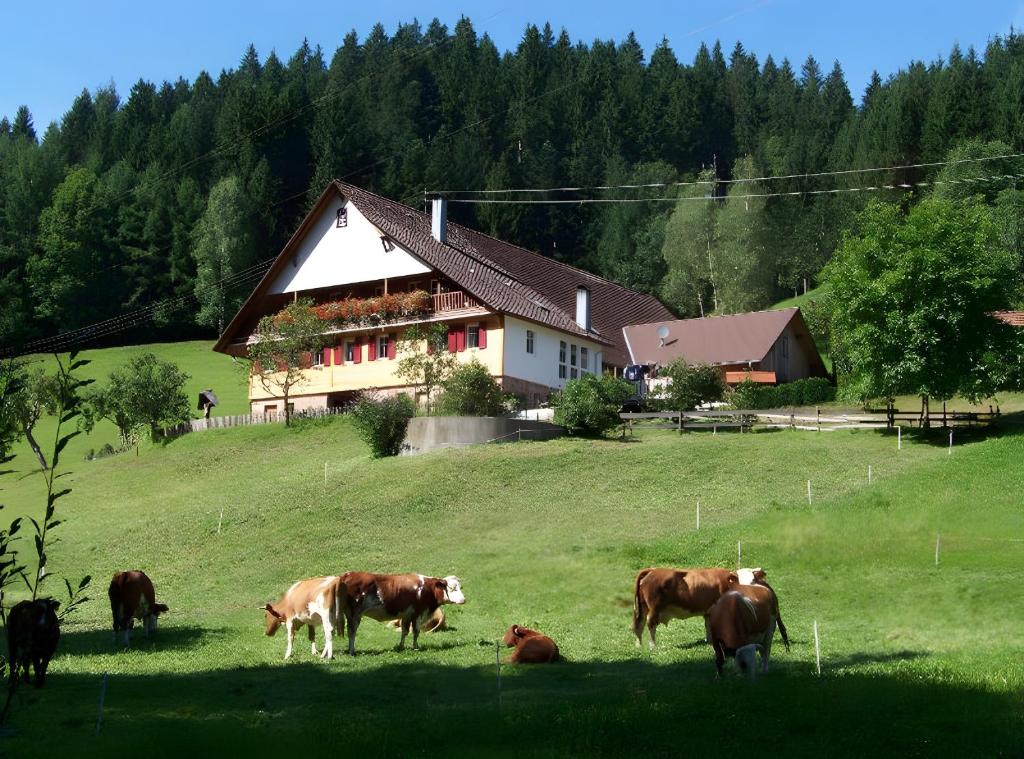 Zvířata v apartmánu nebo okolí