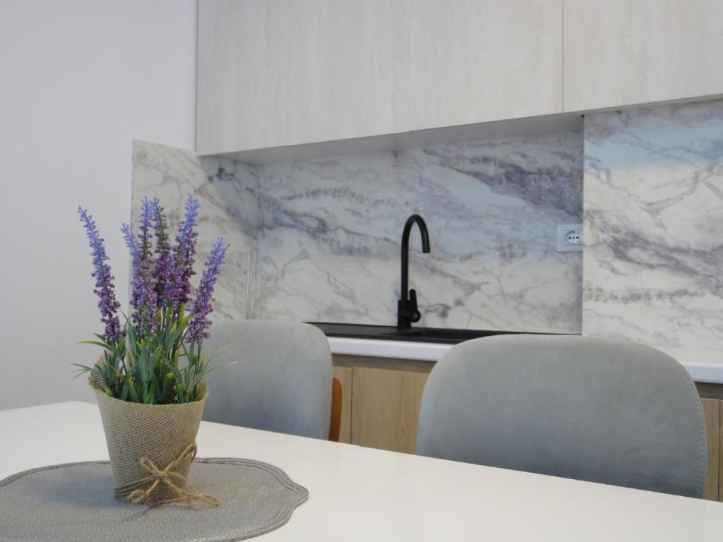 Fotografie z fotogalerie ubytování Niki Apartments Shen Gjin v destinaci Lezhë