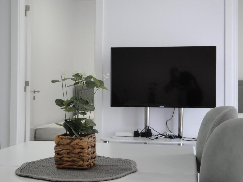 TV a/nebo společenská místnost v ubytování Niki Apartments Shen Gjin