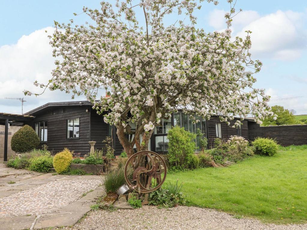 Zahrada ubytování The Lodge at Wildersley Farm
