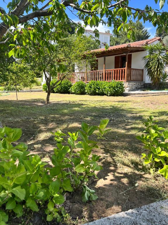 Zahrada ubytování Panos Villas