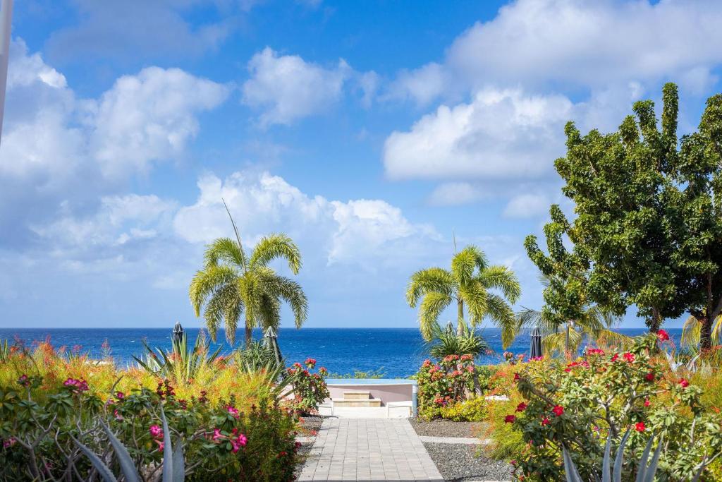 Coral Estate Luxury Resort photo