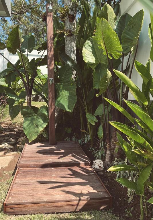 Tropical Almond Villa - 18