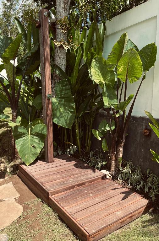 Tropical Almond Villa - 17