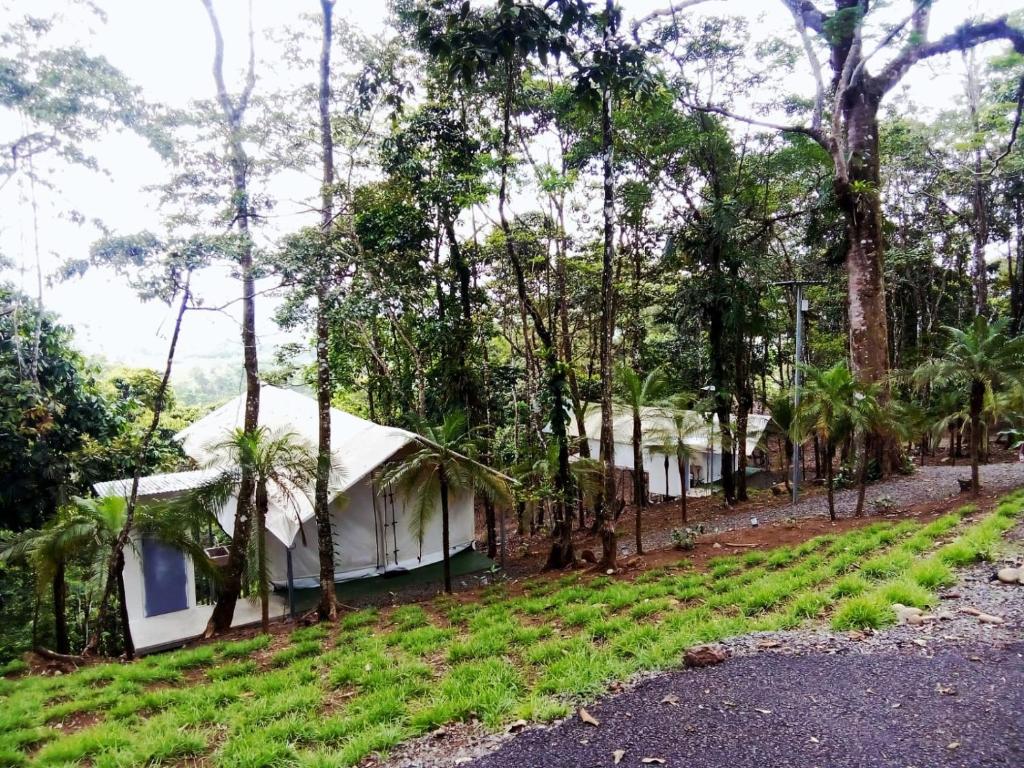 Zahrada ubytování Volcano Tenorio Glamping Ranch - 3 Tents