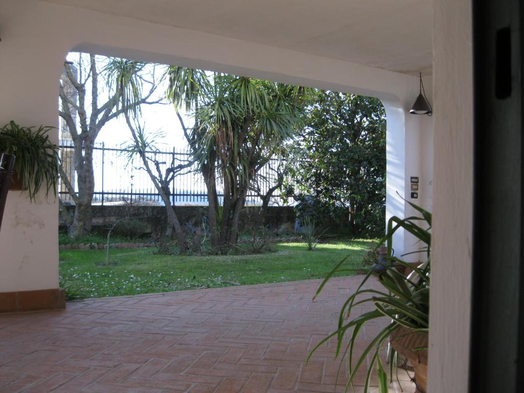 eine offene Tür zu einer Terrasse mit Bäumen und Gras in der Unterkunft B&B Li Fringi in Torchiara